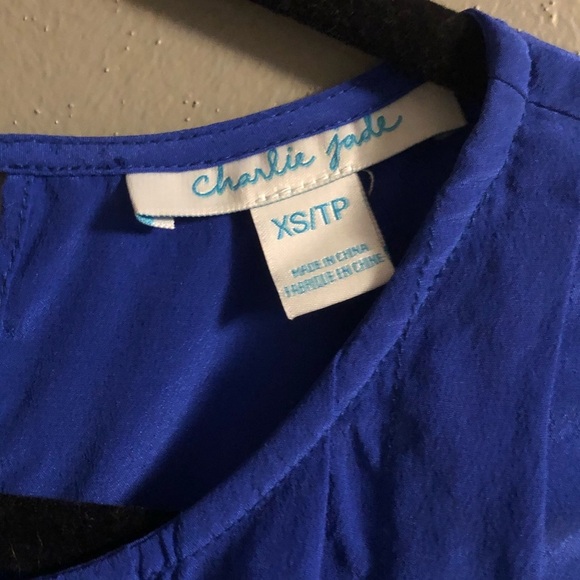 ❤️Charlie Jade Blue Blouse Size XS - Picture 5 of 9